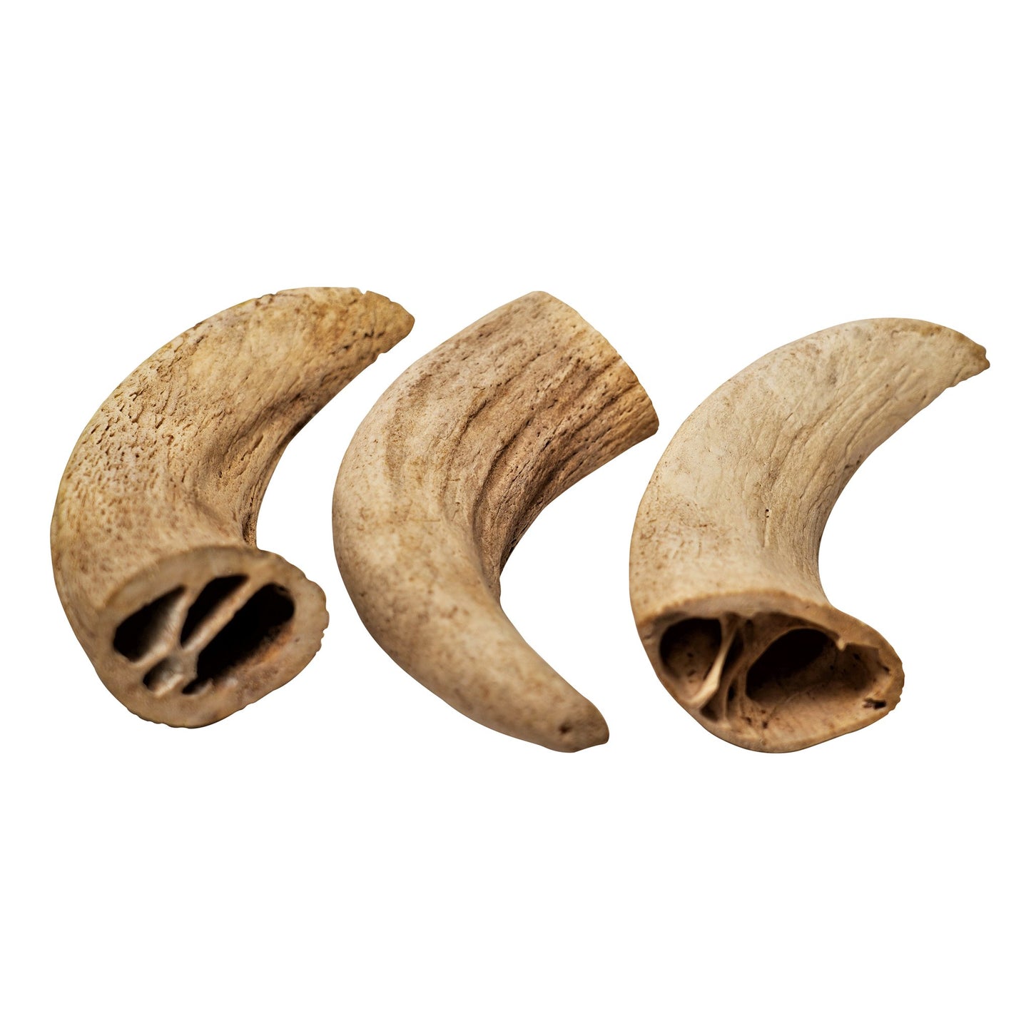 Water Buffalo Horn Core Dog Chews-2 Count-10 oz