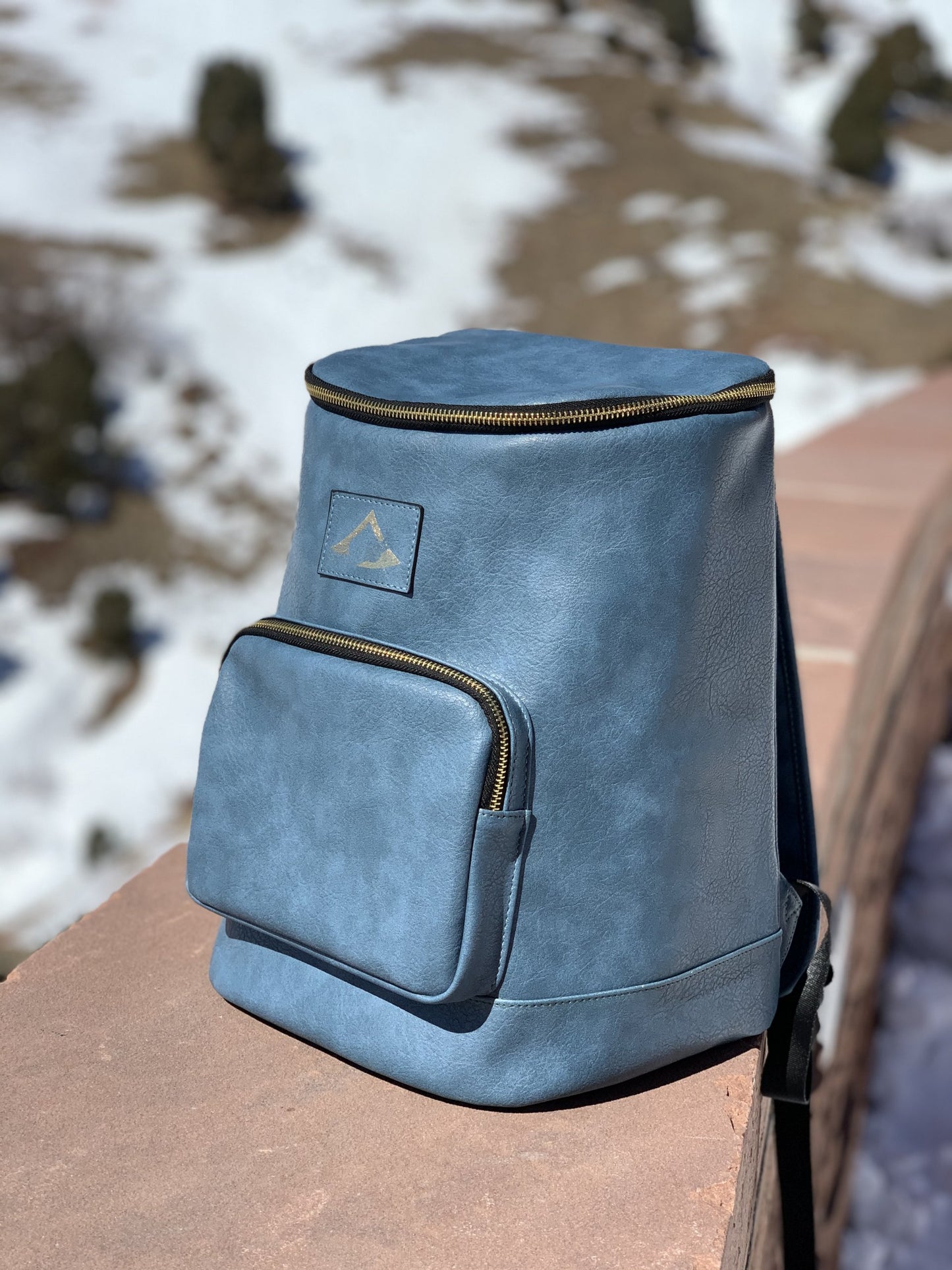 Leakproof thick-insulated backpack cooler, vegan leather